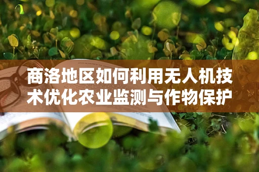 商洛地区如何利用无人机技术优化农业监测与作物保护？