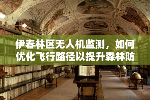 伊春林区无人机监测，如何优化飞行路径以提升森林防火效率？