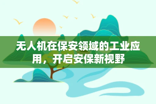 无人机在保安领域的工业应用，开启安保新视野