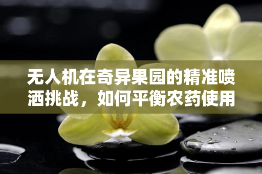 无人机在奇异果园的精准喷洒挑战，如何平衡农药使用与果实保护？