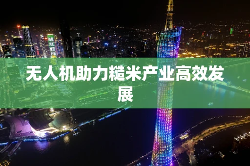 无人机助力糙米产业高效发展