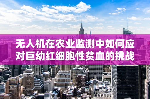 无人机在农业监测中如何应对巨幼红细胞性贫血的挑战？