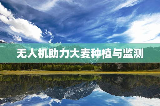 无人机助力大麦种植与监测