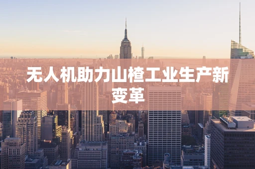无人机助力山楂工业生产新变革