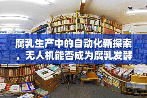 腐乳生产中的自动化新探索，无人机能否成为腐乳发酵的空中‘守望者’？