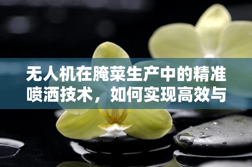 无人机在腌菜生产中的精准喷洒技术，如何实现高效与均匀？