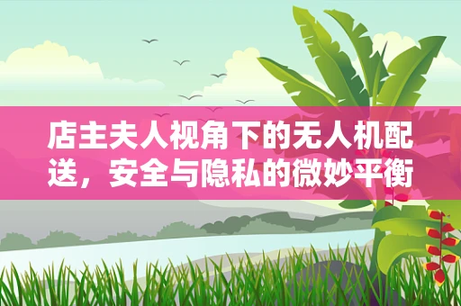 店主夫人视角下的无人机配送，安全与隐私的微妙平衡