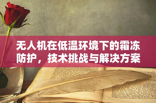 无人机在低温环境下的霜冻防护，技术挑战与解决方案