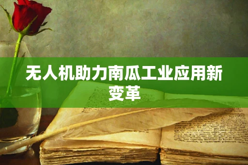 无人机助力南瓜工业应用新变革