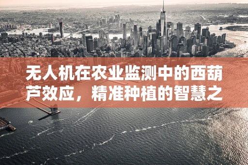 无人机在农业监测中的西葫芦效应，精准种植的智慧之眼？