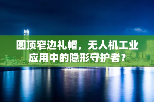 圆顶窄边礼帽，无人机工业应用中的隐形守护者？