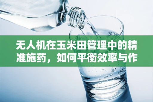 无人机在玉米田管理中的精准施药，如何平衡效率与作物安全？