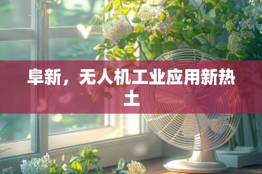 阜新，无人机工业应用新热土