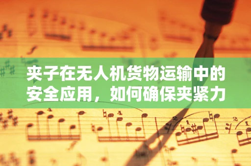 夹子在无人机货物运输中的安全应用，如何确保夹紧力与货物稳定性的完美平衡？