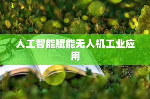 人工智能赋能无人机工业应用
