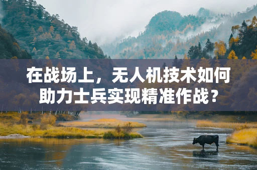 在战场上，无人机技术如何助力士兵实现精准作战？