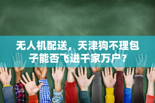 无人机配送，天津狗不理包子能否飞进千家万户？