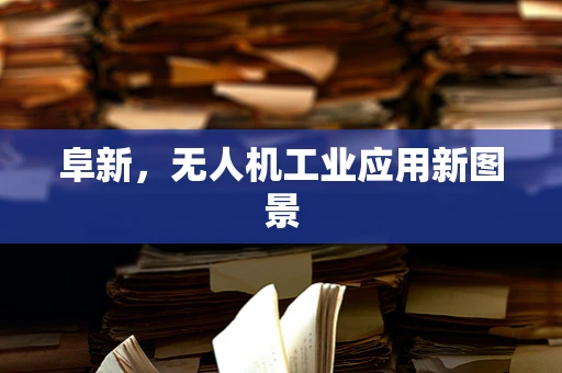 阜新，无人机工业应用新图景