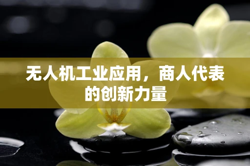 无人机工业应用，商人代表的创新力量