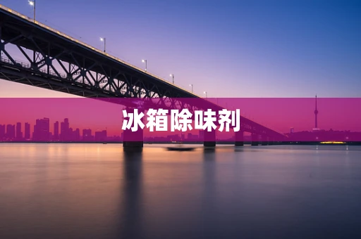 冰箱除味剂