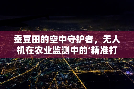 蚕豆田的空中守护者，无人机在农业监测中的‘精准打击’？