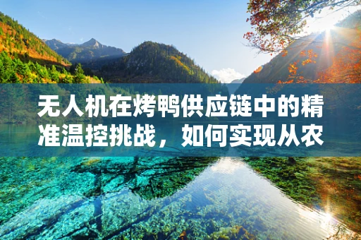 无人机在烤鸭供应链中的精准温控挑战，如何实现从农场到餐桌的无缝温控？