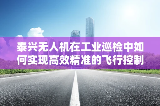 泰兴无人机在工业巡检中如何实现高效精准的飞行控制？
