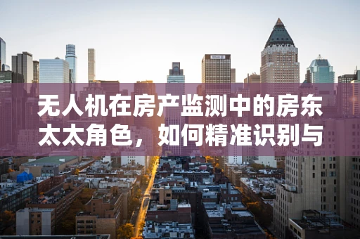 无人机在房产监测中的房东太太角色，如何精准识别与预防屋顶漏水？
