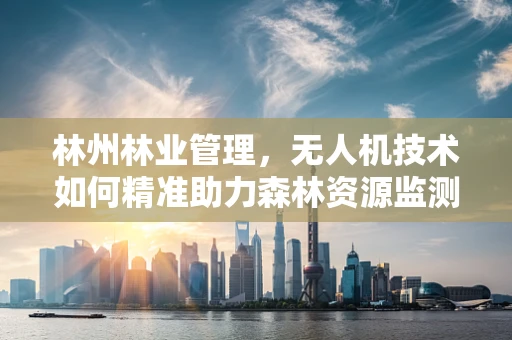 林州林业管理，无人机技术如何精准助力森林资源监测？