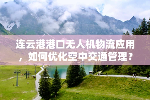连云港港口无人机物流应用，如何优化空中交通管理？