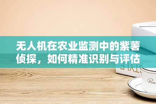 无人机在农业监测中的紫薯侦探，如何精准识别与评估紫薯作物健康？