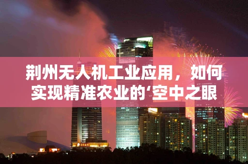 荆州无人机工业应用，如何实现精准农业的‘空中之眼’？