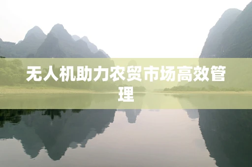 无人机助力农贸市场高效管理
