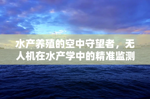 水产养殖的空中守望者，无人机在水产学中的精准监测挑战