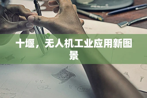 十堰，无人机工业应用新图景
