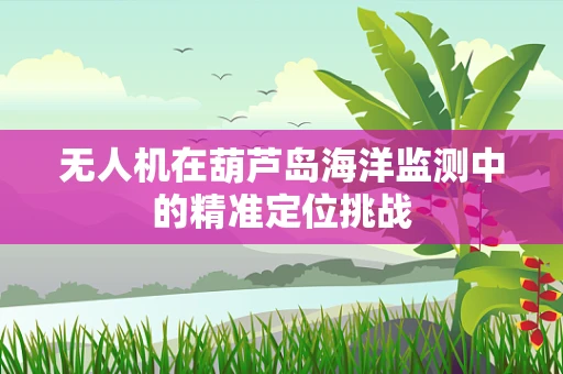 无人机在葫芦岛海洋监测中的精准定位挑战