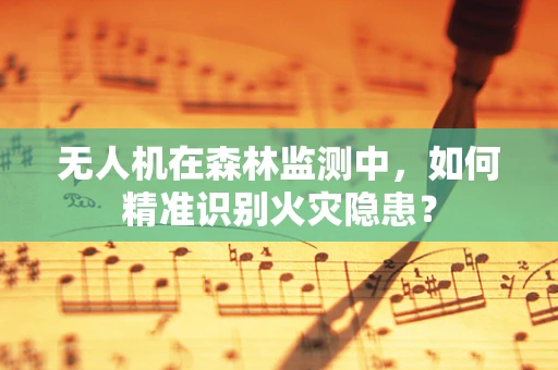 无人机在森林监测中，如何精准识别火灾隐患？