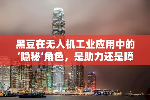 黑豆在无人机工业应用中的‘隐秘’角色，是助力还是障碍？