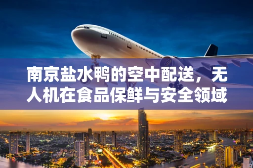 南京盐水鸭的空中配送，无人机在食品保鲜与安全领域的挑战与机遇？