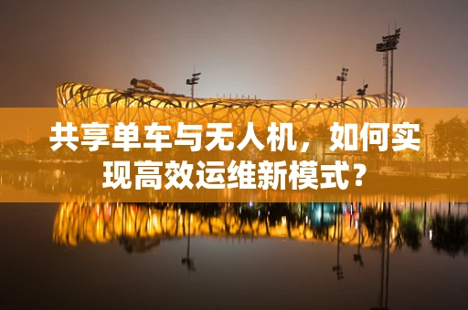 共享单车与无人机，如何实现高效运维新模式？