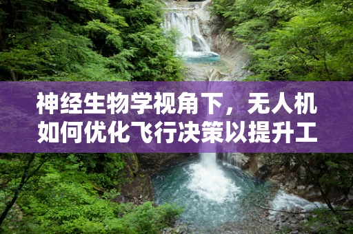 神经生物学视角下，无人机如何优化飞行决策以提升工业应用效率？