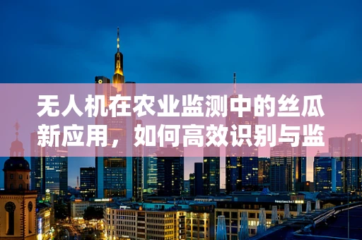 无人机在农业监测中的丝瓜新应用，如何高效识别与监测？