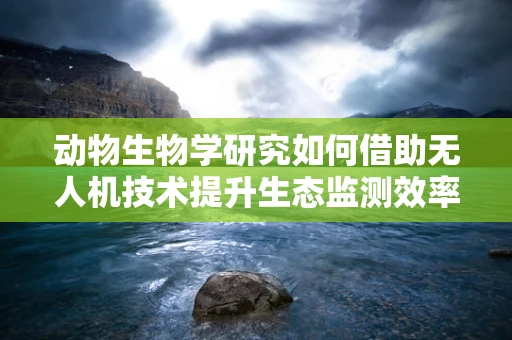 动物生物学研究如何借助无人机技术提升生态监测效率？