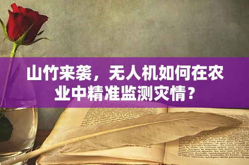 山竹来袭，无人机如何在农业中精准监测灾情？