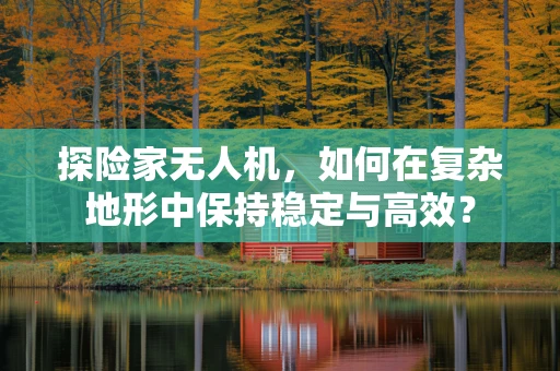 探险家无人机，如何在复杂地形中保持稳定与高效？