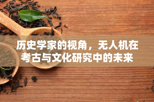 历史学家的视角，无人机在考古与文化研究中的未来