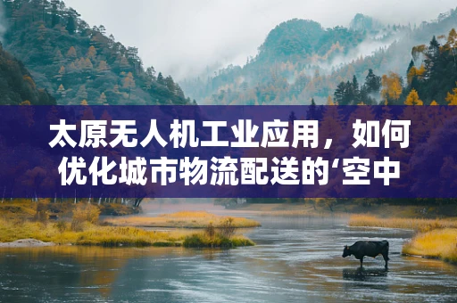 太原无人机工业应用，如何优化城市物流配送的‘空中走廊’？