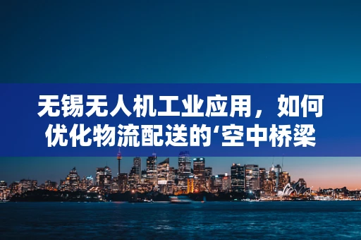 无锡无人机工业应用，如何优化物流配送的‘空中桥梁’？