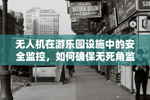 无人机在游乐园设施中的安全监控，如何确保无死角监控？