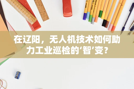 在辽阳，无人机技术如何助力工业巡检的‘智’变？